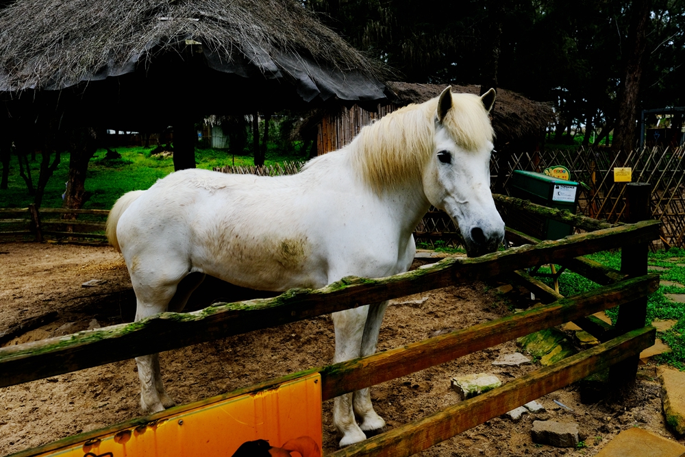 福建六鳌翡翠湾醉美沙滩,六鳌翡翠湾海滩