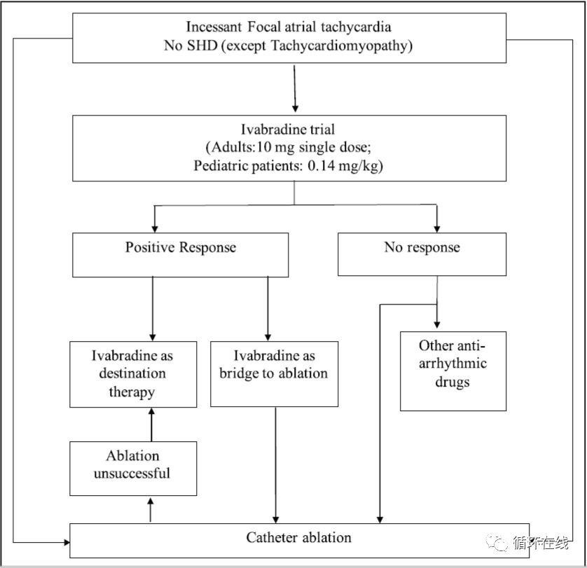 「彤心飞传」局灶房性心动过速治疗的新策略：伊伐布雷定