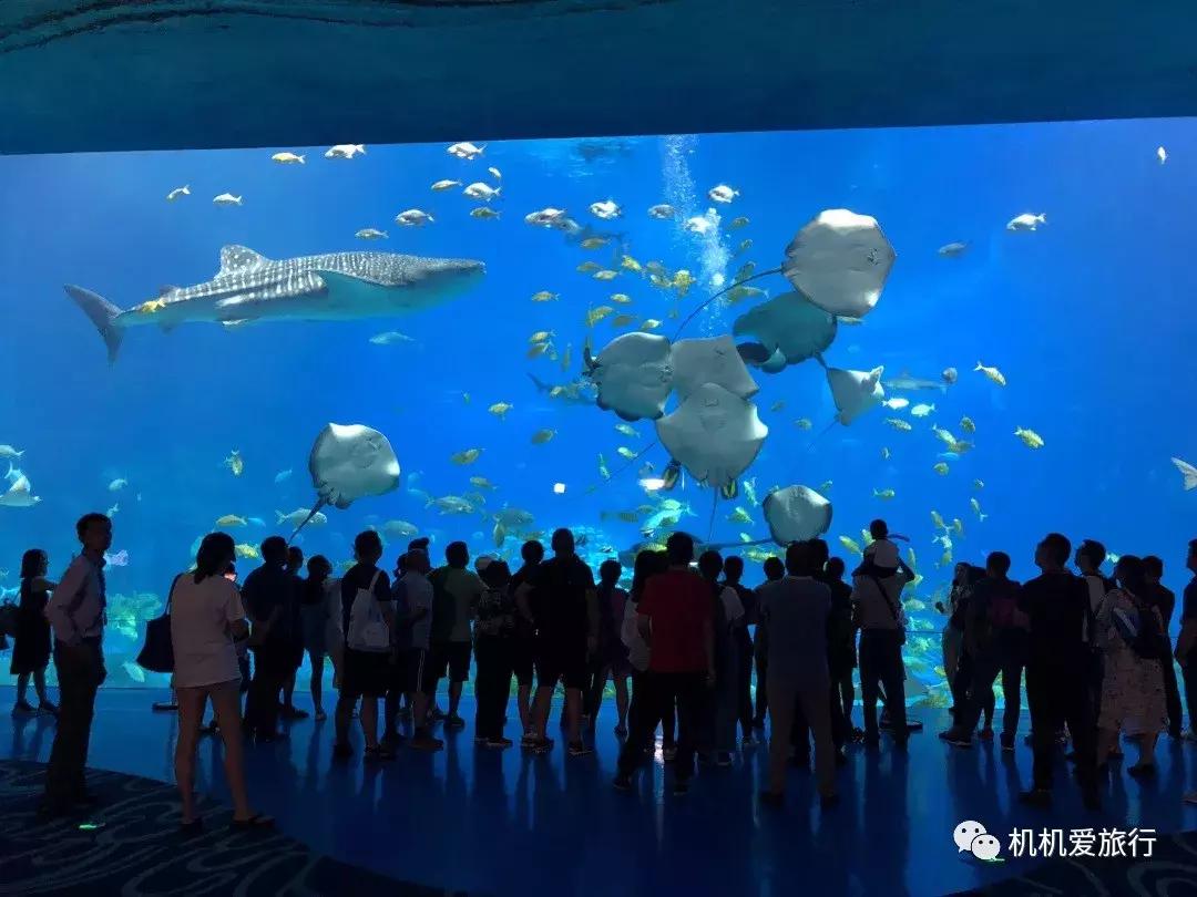 珠海和广州长隆旅游攻略,珠海长隆乐园游玩攻略