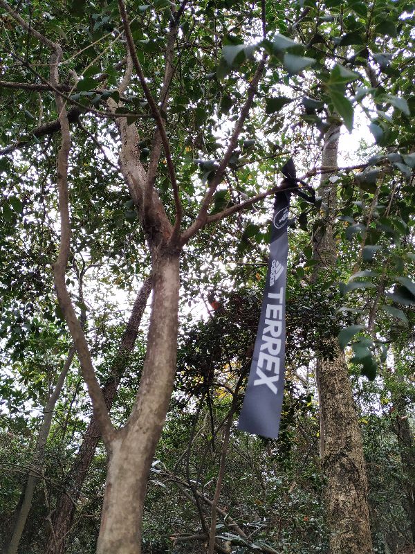 杭州市周末自驾游去哪里好玩,杭州出发周末旅游攻略