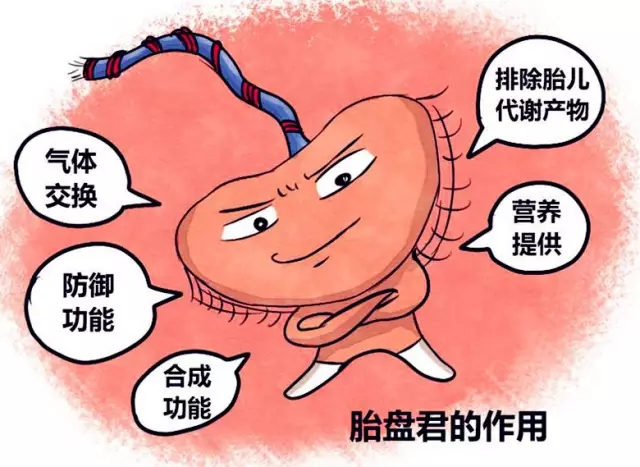 干细胞移植肝硬化研究进展,肝硬化晚期干细胞移植能维持多久