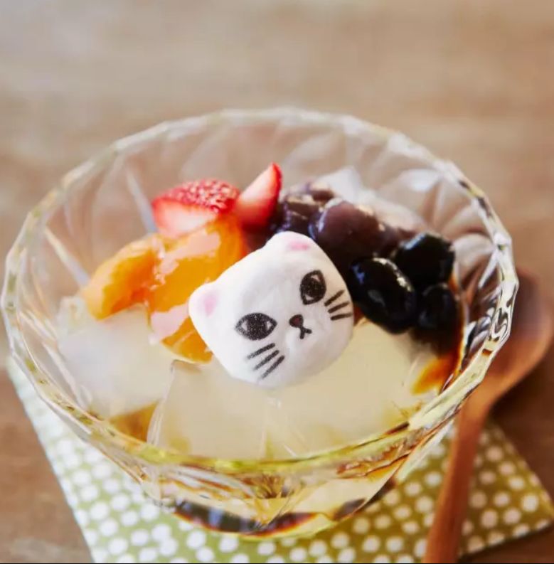 360度“云吸猫”?日本这家猫咪商店简直爱了