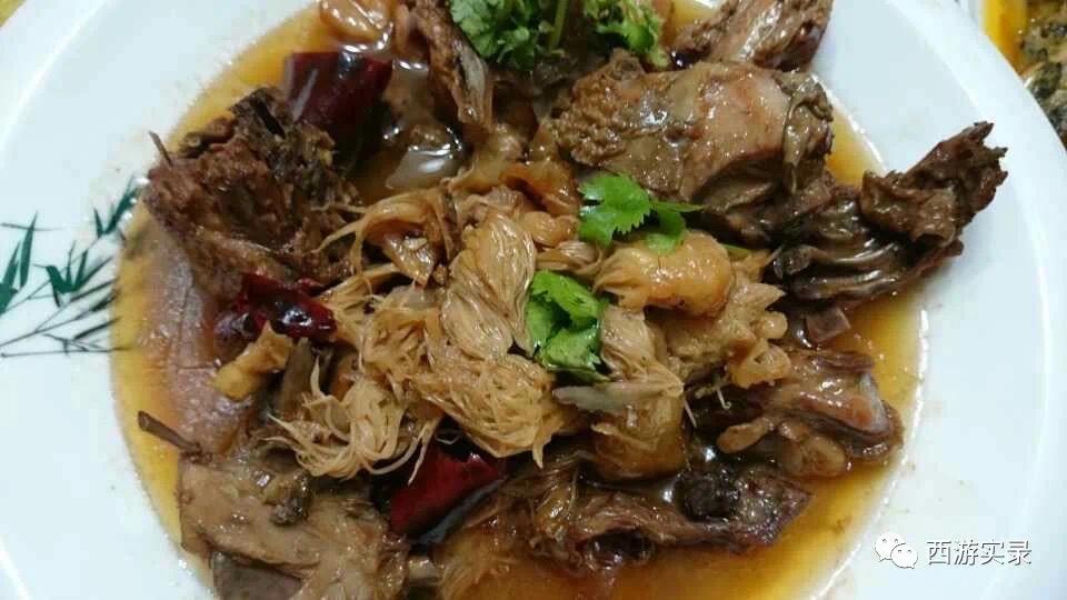 自驾环游世界第一人,一次连续跨越五大洲20万公里吉尼斯世界纪录