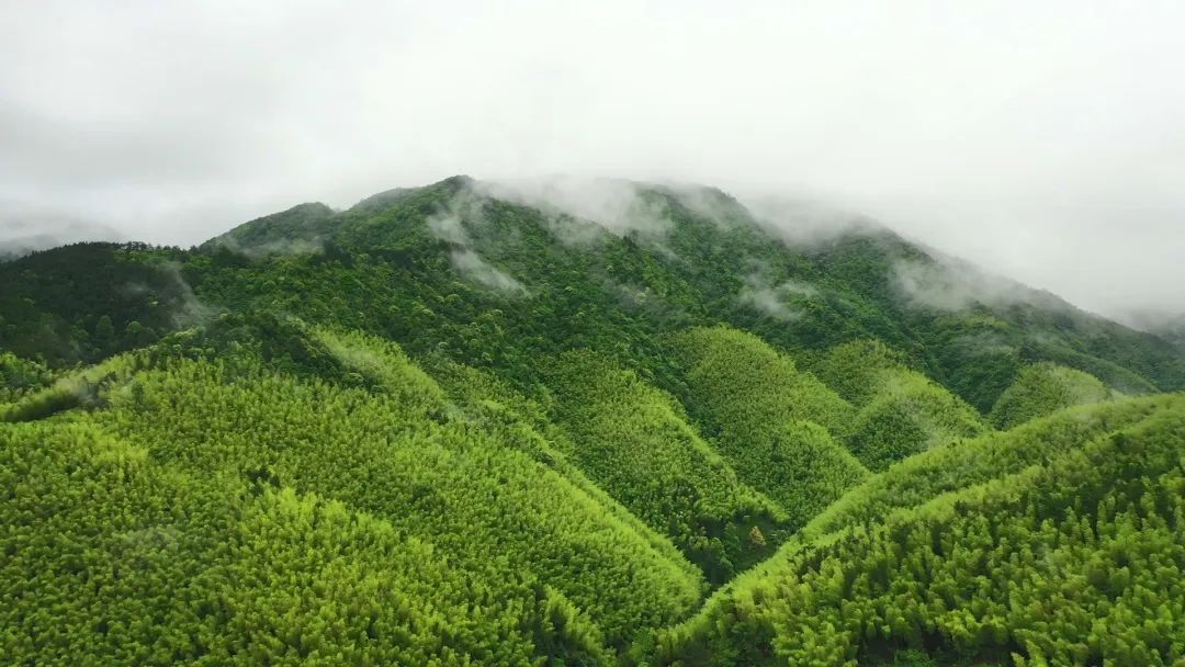 绥宁被联合国誉为神奇绿洲,绥宁神奇的绿洲的由来