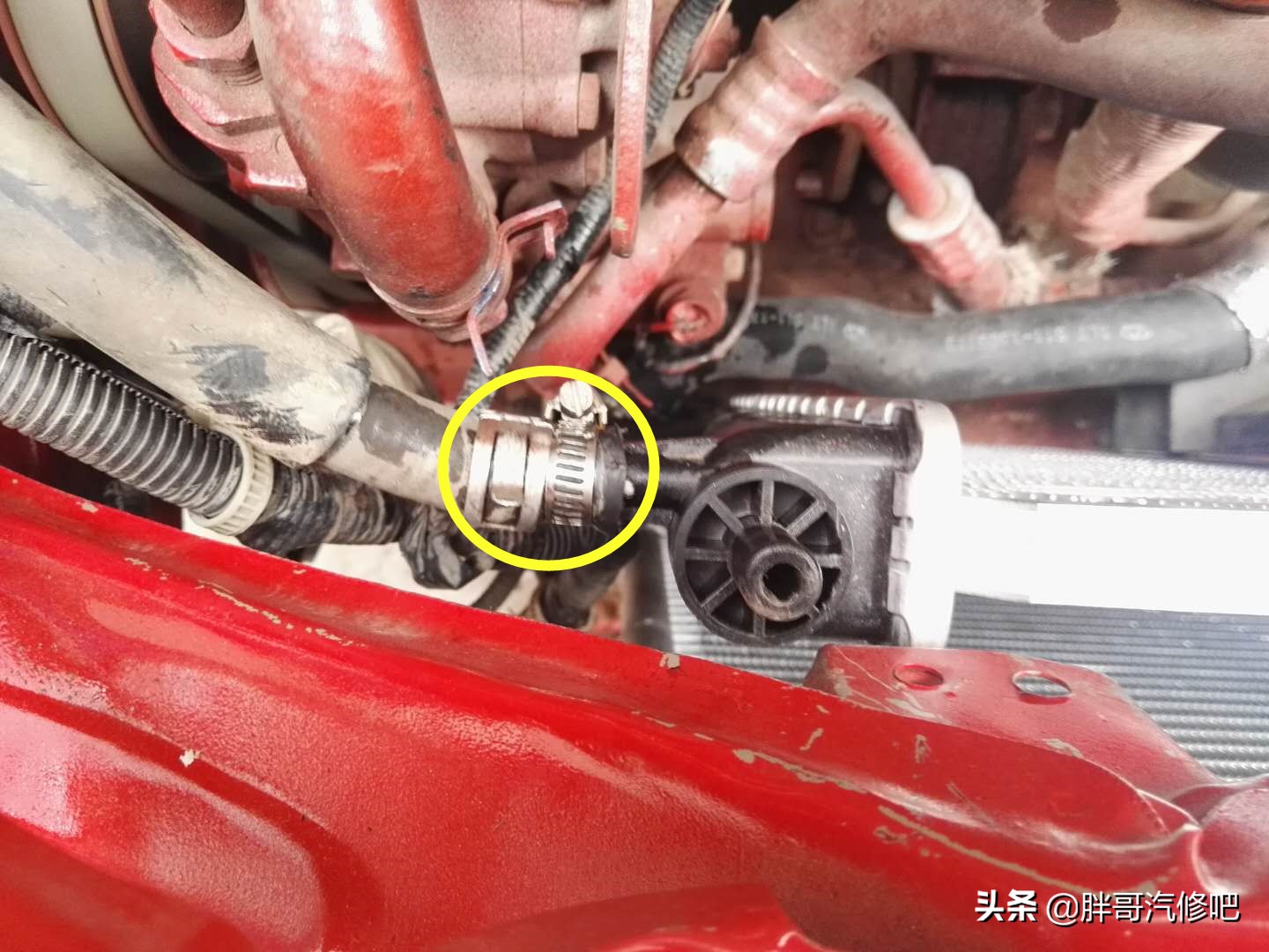 汽车冷却系统排气操作教程,胖哥教车