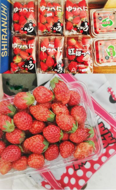 王思聪李易峰综艺节目,王思聪李易峰玩游戏