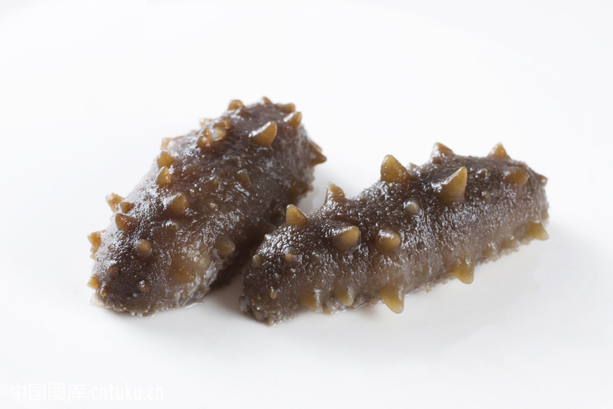 渤海湾海参春参好还是秋参好,海参怎样辨别春参还是秋参