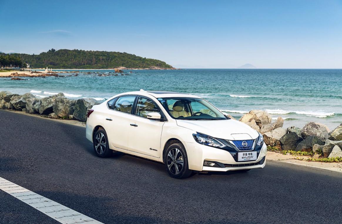 新能源时代的逐浪者，访网约车经营者实录