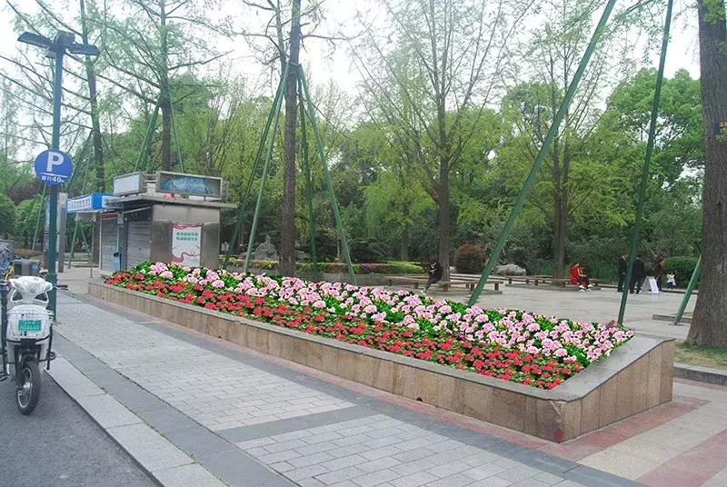 双流区绿化景观,双流县景观花园设计