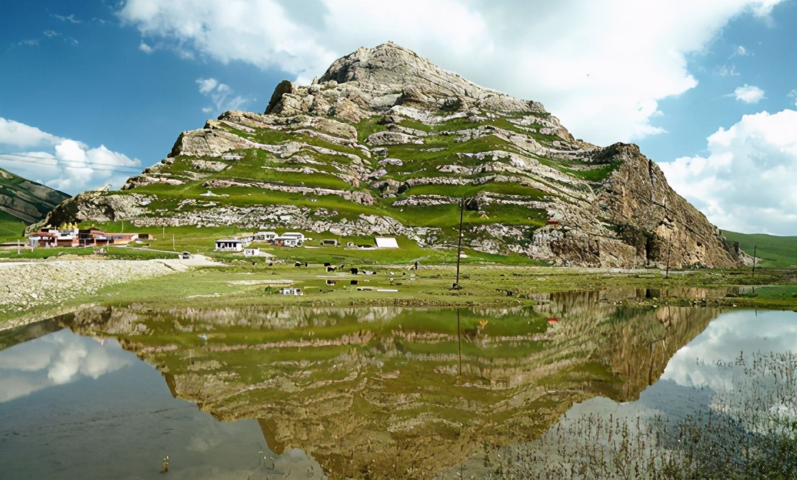 净土天峻,净土天峻高原牧场图片