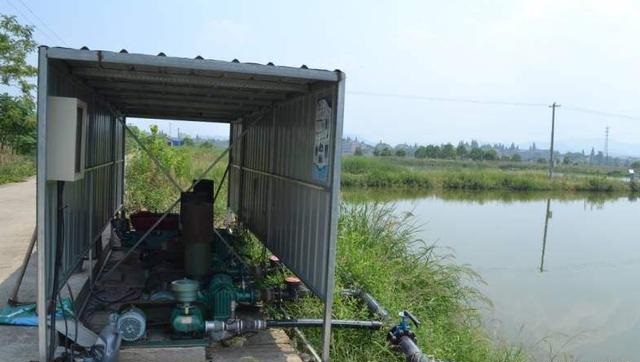 新型养鱼致富模式,养殖跑道养鱼养出新模式