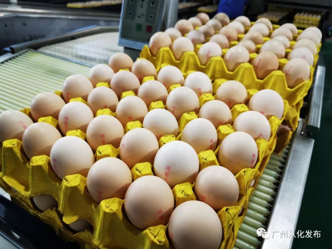 助力战疫复工复产,复工战疫两不误担当有为谱新篇