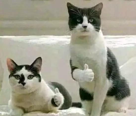 微商代购现状,微商代购好做吗