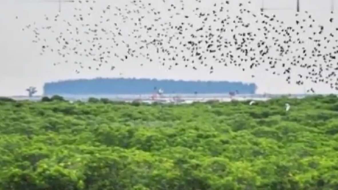 航拍徐闻大汉三墩风景区,大汉三墩旅游区