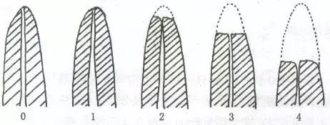 遇见一个好的大夫是什么心情,遇见好的医生