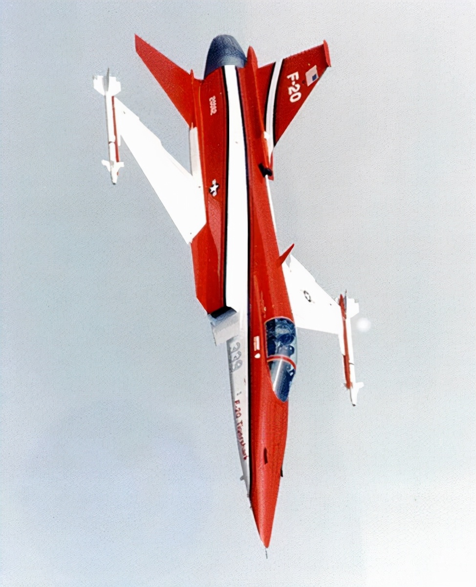 极富悲剧色彩的虎鲸,虎鲨悲剧