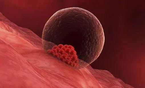 享生课堂：别想了，促排药物不是你想的那样