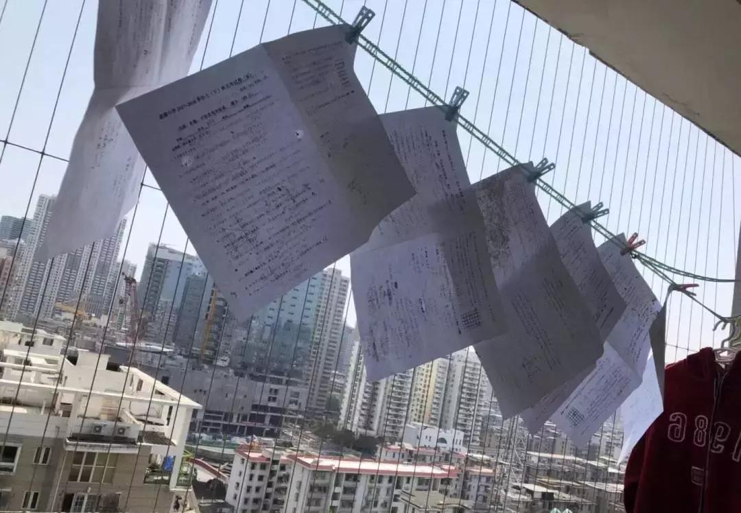 狗狗这么可爱，怎么舍得和它吵架呢？除非忍不住