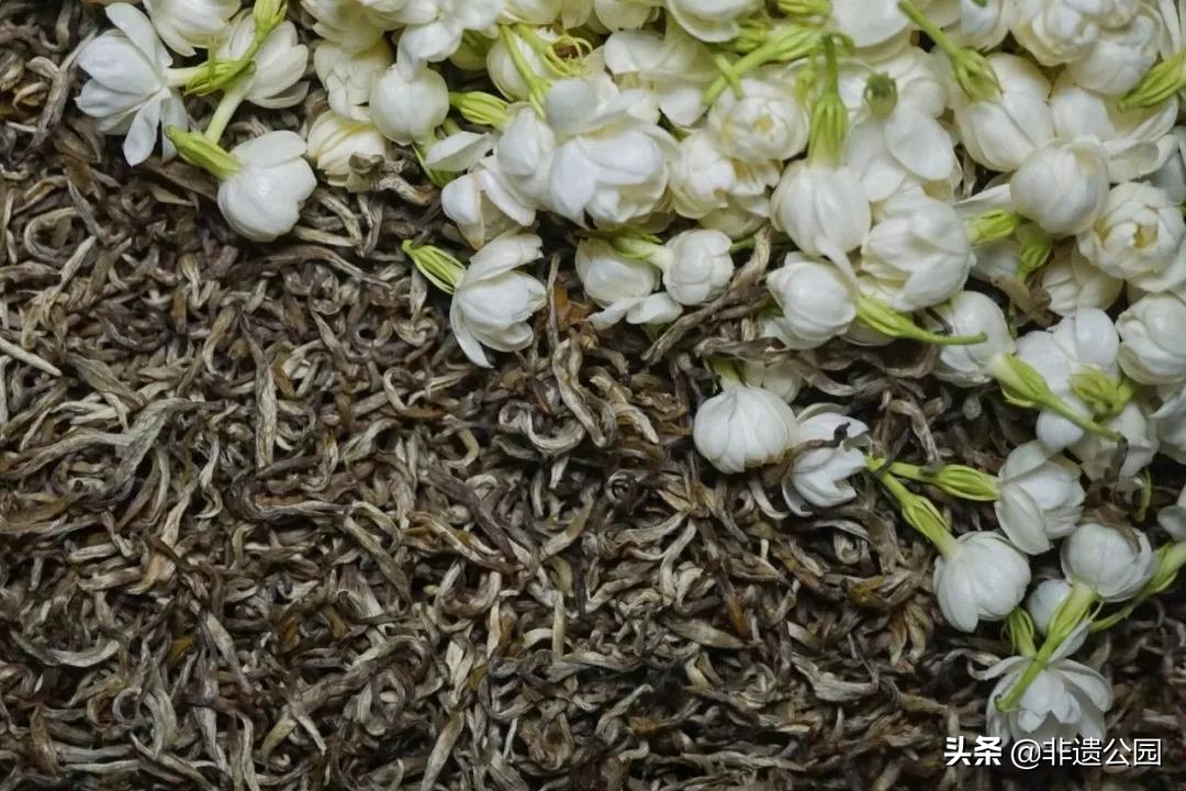 福州茉莉花茶窨制时间多久,福州茉莉花茶多少度水合适