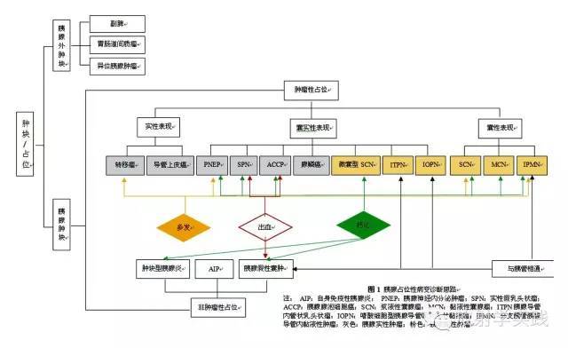 胰腺尾部肿块怎么判断,胰腺精准治疗
