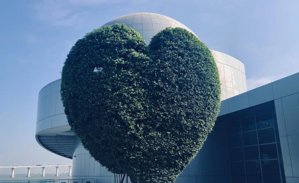 澳门推荐入住的五星酒店,澳门最值得住的亲子酒店