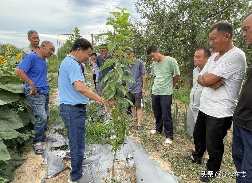 7天3000公里,宝马x57000公里发现烧机油