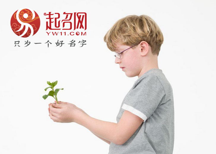 前程似锦的李姓有出息的男孩名字,有福气健康前程似锦的男孩名字