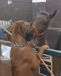 39张搞笑车祸动图,交通事故搞笑gif动图