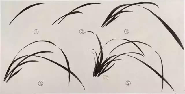 徐湛国画兰花的画法,徐湛国画兰花的画法视频教学