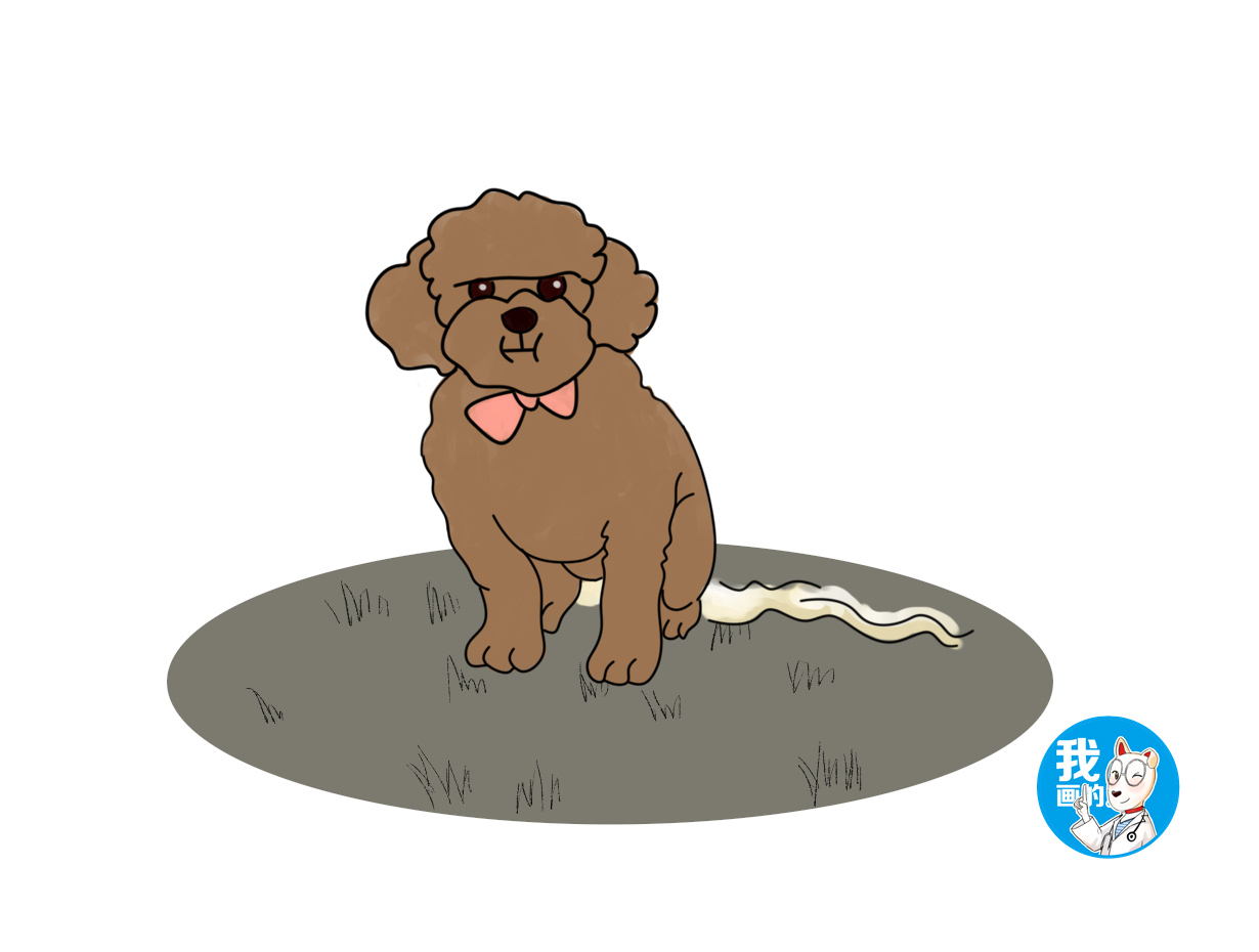 养母狗的十大注意事项,为什么不建议新手养母狗