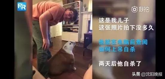 儿子进聊天群3天后自杀：爸妈，我不想死，是你们逼我的