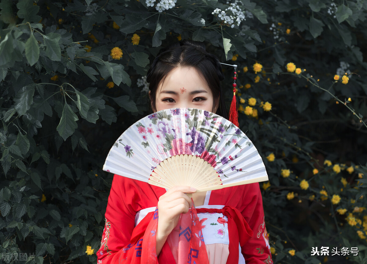 佩文诗韵谁编的,佩文诗韵作者