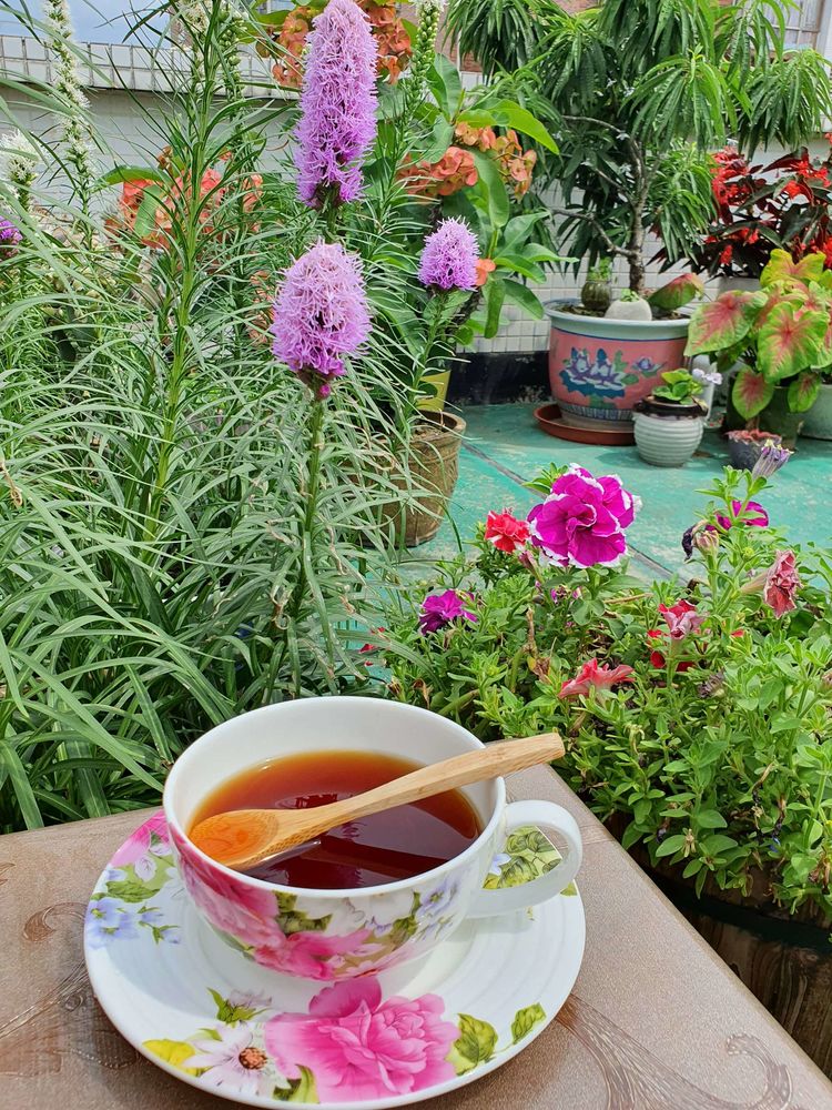 15平米露台改造成功案例,50平方楼顶改造露台和花园