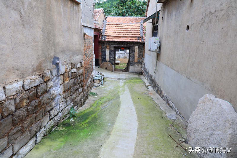 瑙︽懜涔℃剚鍙よ瘲鍥剧墖,瑙︽懜涔℃剚