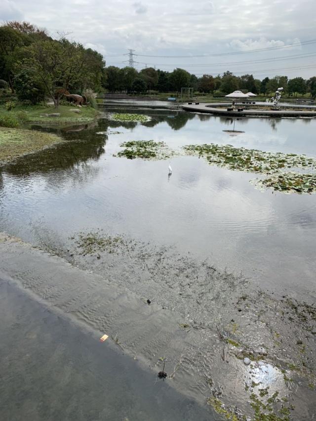 iphonexsmax续航测评,iphonexsmax缺点和优点