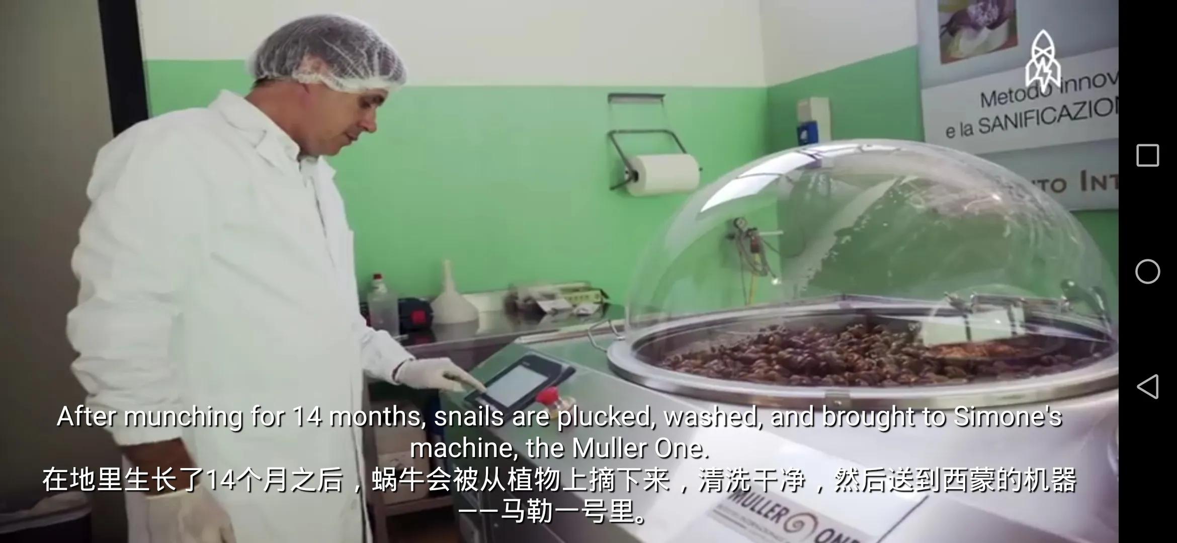 蜗牛的护肤品,所有蜗牛牌的护肤品