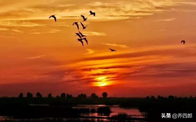 生活在陕西的一个小县城,陕西哪个小县城适合游玩