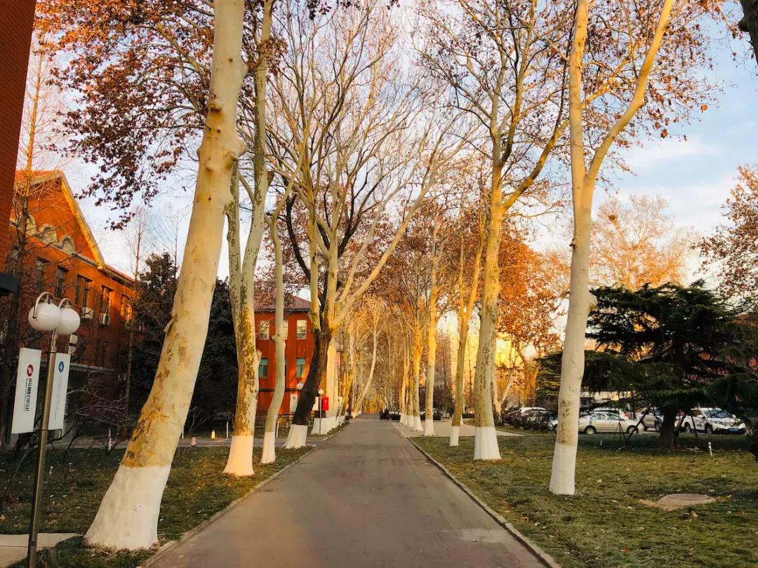 山东科技大学,不再见!