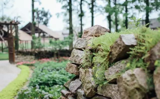 乌村推出一价全包模式的好处,乌村年接待游客量