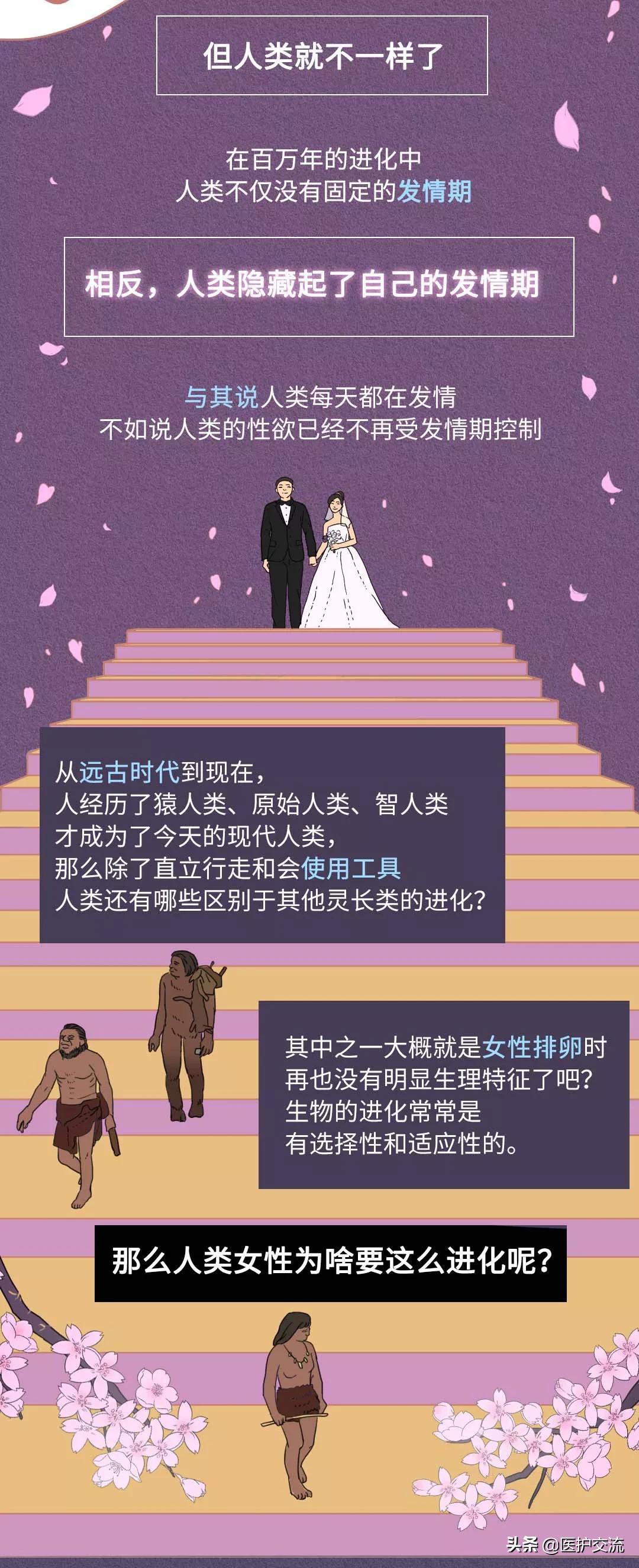 人类为什么一天当中要睡10个小时,为什么人类天天打架