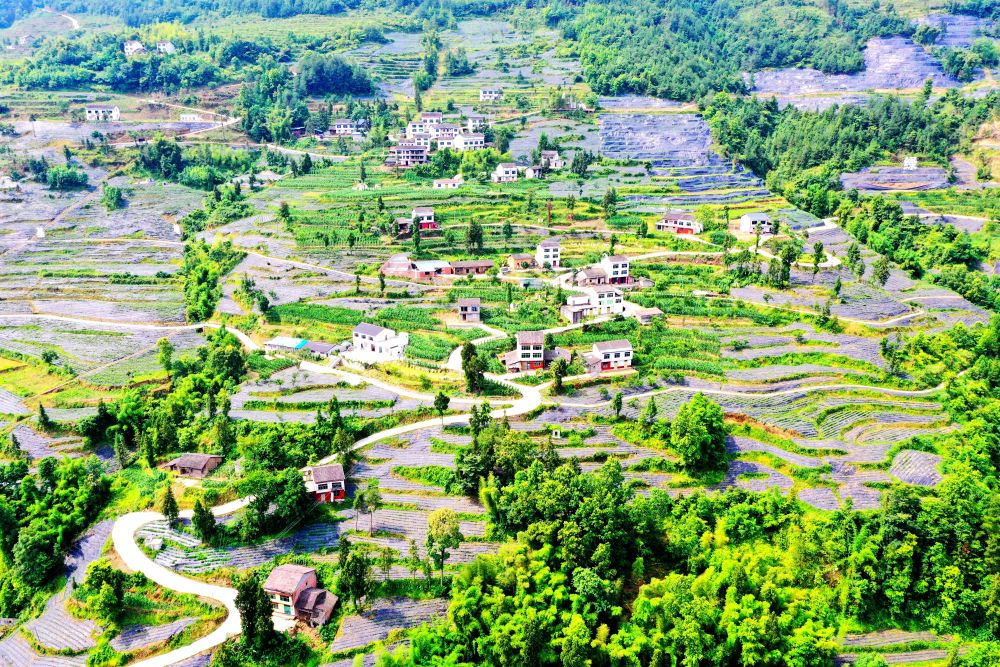 “东风”吹暖大巴山——重庆开州打造鲁渝协作“升级版”见闻