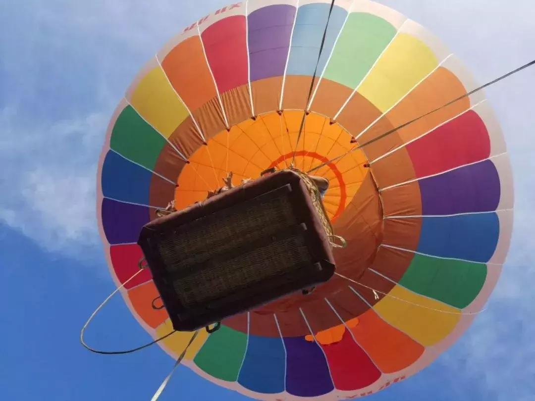 最美银杏秋景自驾攻略,杭州银杏树旅游攻略