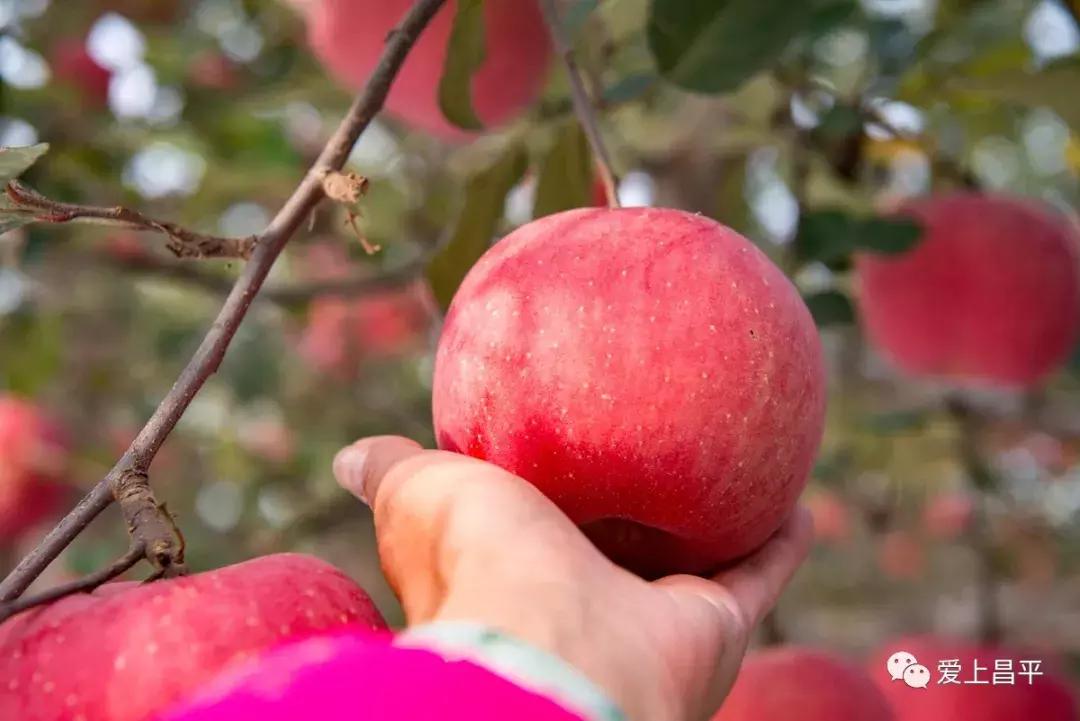 立冬泡汤温泉,立冬啦
