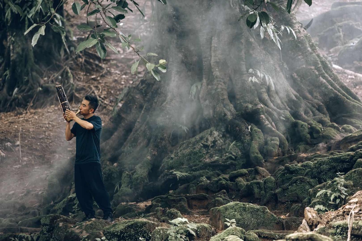 笙演奏吴彤到底有多厉害,笙演奏家吴彤在干什么