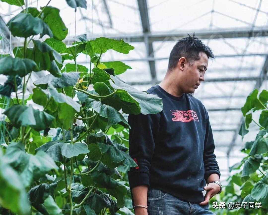 南昌这家高科技田园，1000亩菜地，星空房车，亲子采摘……