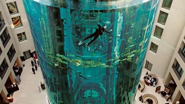 世界最大鱼缸酒店,世界上最大的水族楼