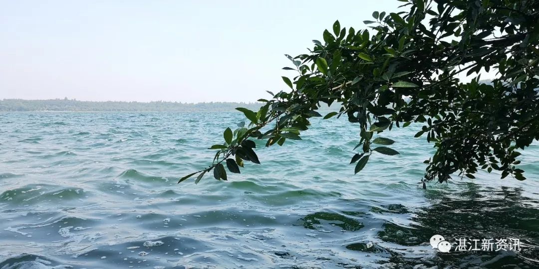 蓝天白云湖面碧波荡漾天然氧吧,湖光岩大自然天然氧吧