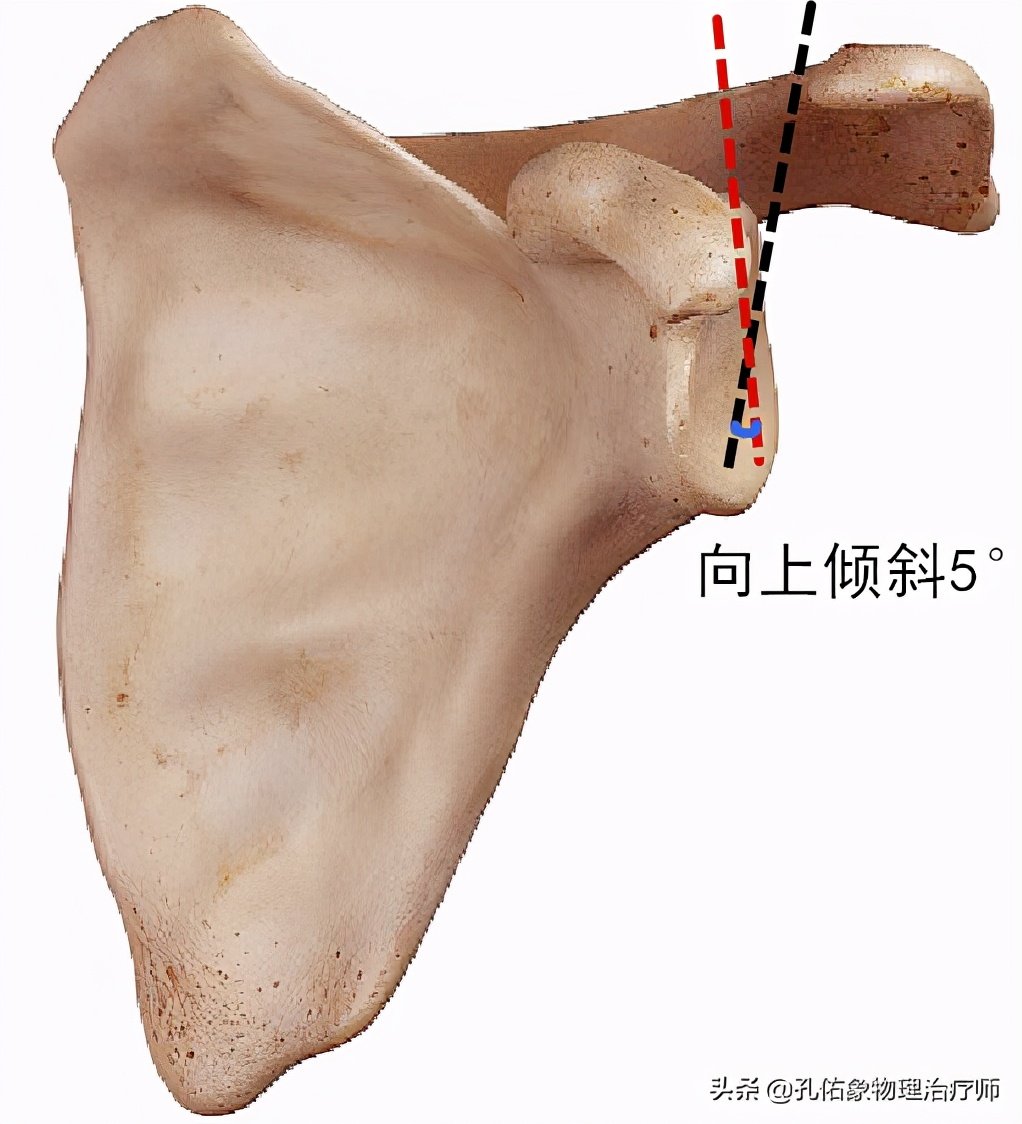 肩膀中风疼痛快速缓解方法,中风后左肩膀痛怎么办