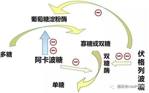 五大类口服降糖药常用剂量,口服降糖药六大类口诀