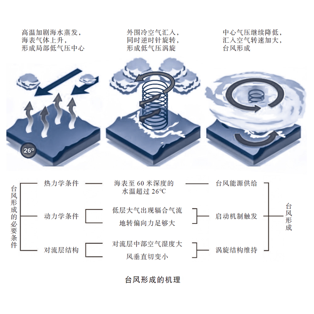 台风是怎么形成的动画,台风形成原理动画视频